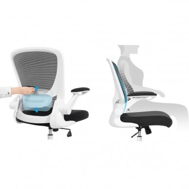 Ergonominė biuro kėdė 2