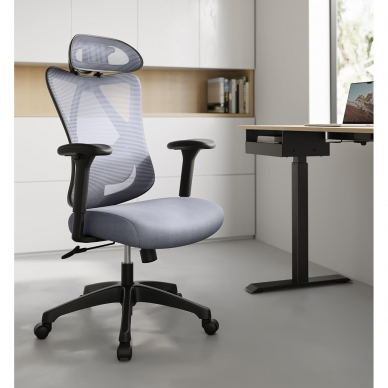 Ergonominė biuro kėdė 1