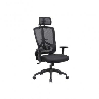 Ergonominė biuro kėdė