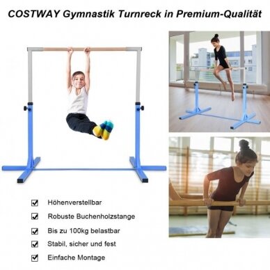 Gimnastikos skersinis su stovu, iki 100 kg (Transportavimo defektas) 6