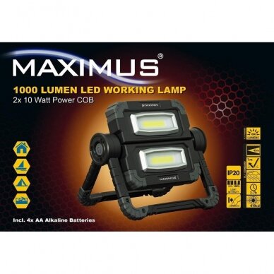 LED prožektorius, 2 x 10 W, 1000 lm